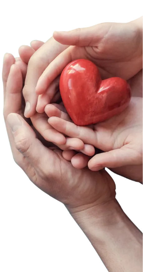 Mãos de adulto e criança segurando um coração